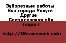 Зуборезные работы - Все города Услуги » Другие   . Свердловская обл.,Тавда г.